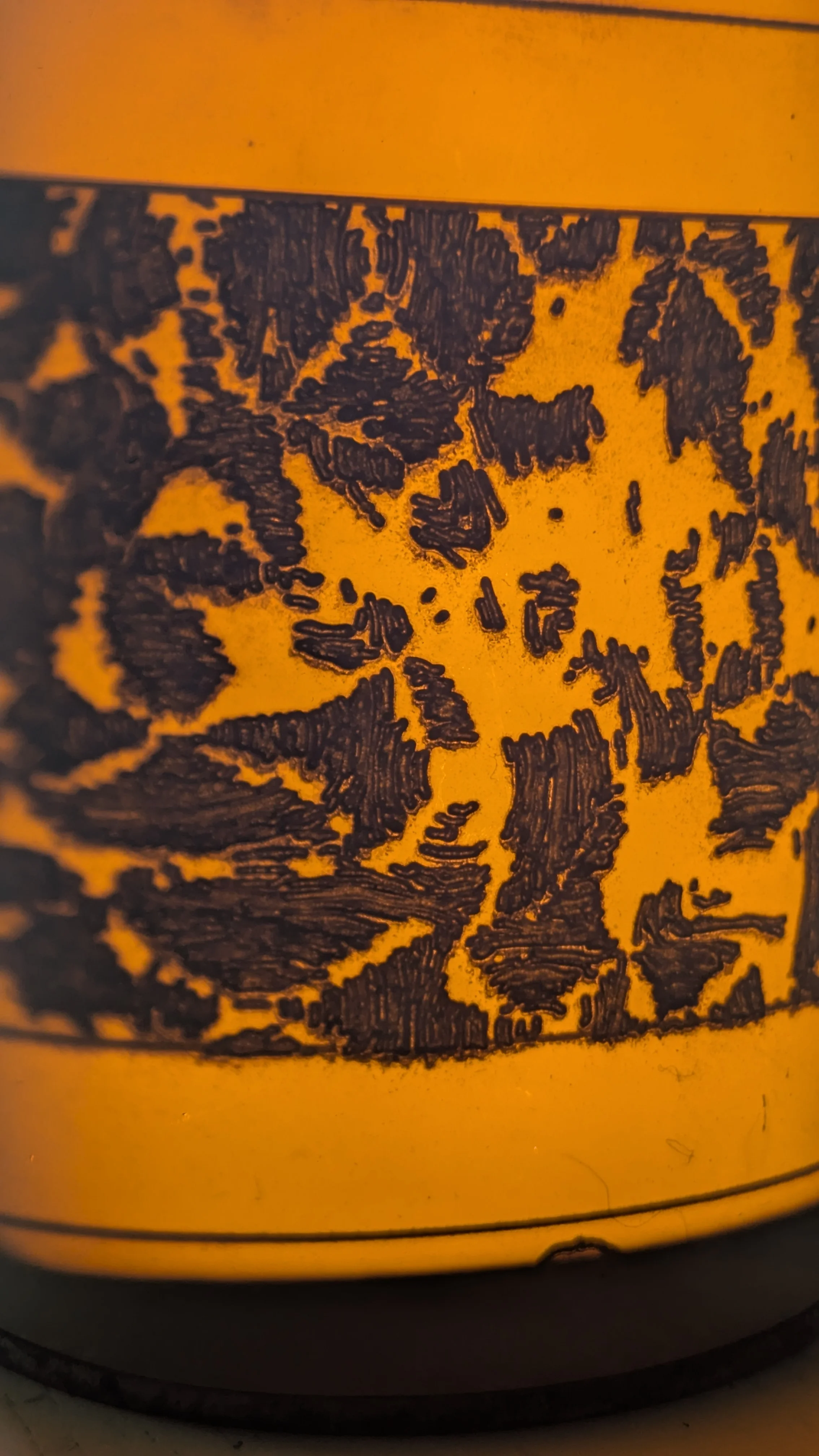 Skiagraph — image 21 of 40